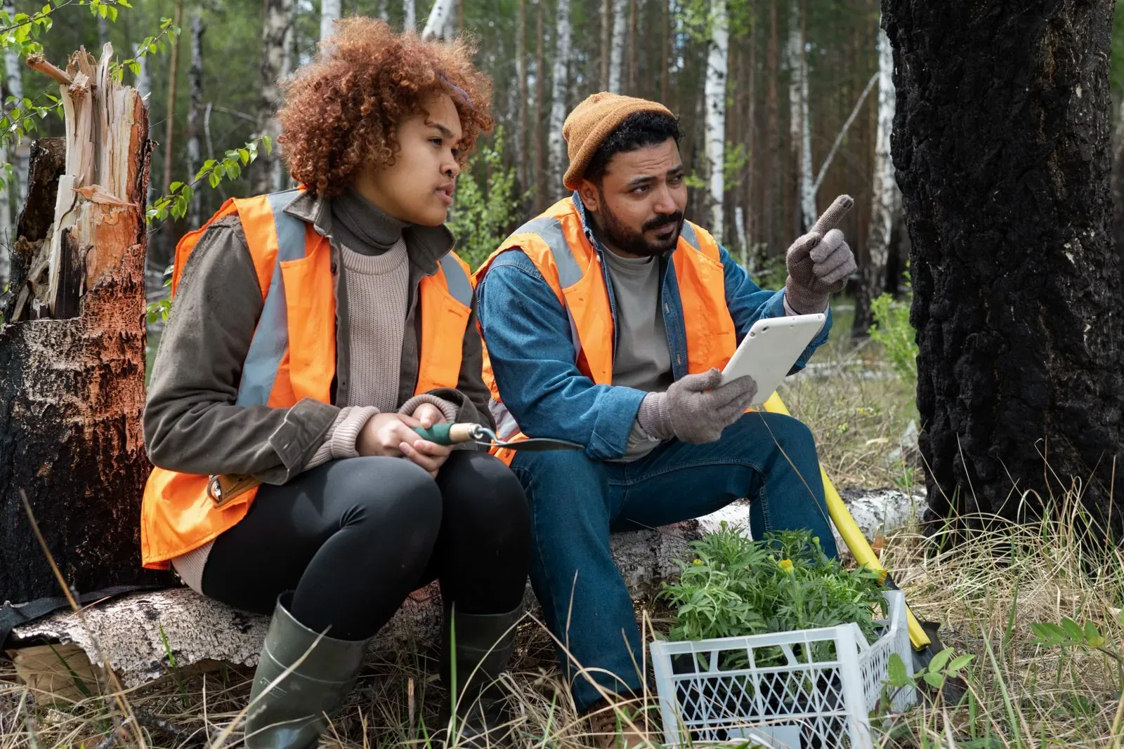 Environmental field team recording observations on a tablet in a forest