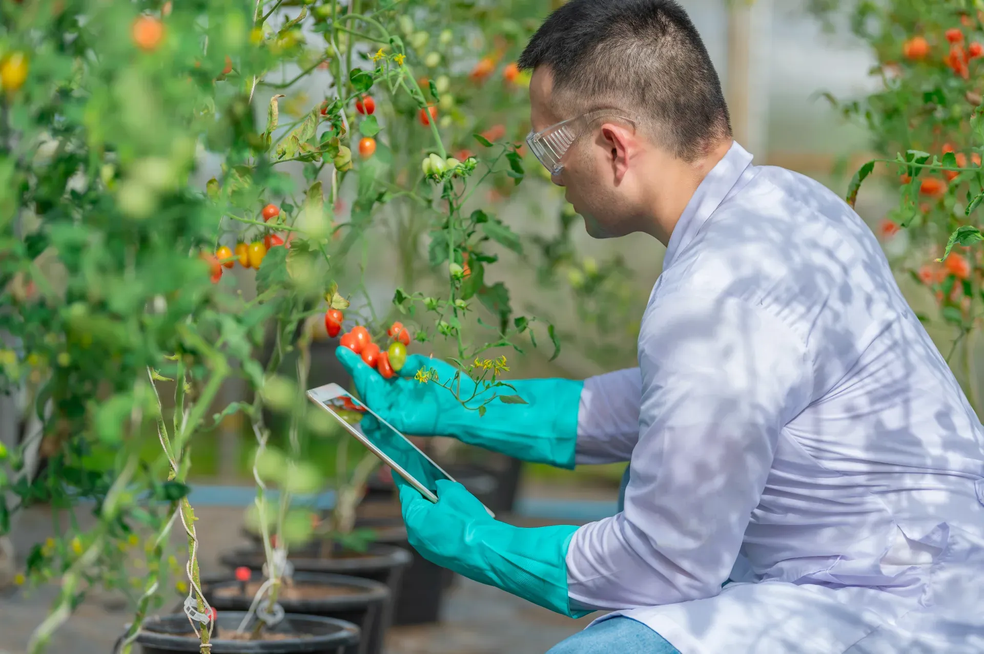AI Food Safety Innovations: Farm to Fork Without URL Sprawl