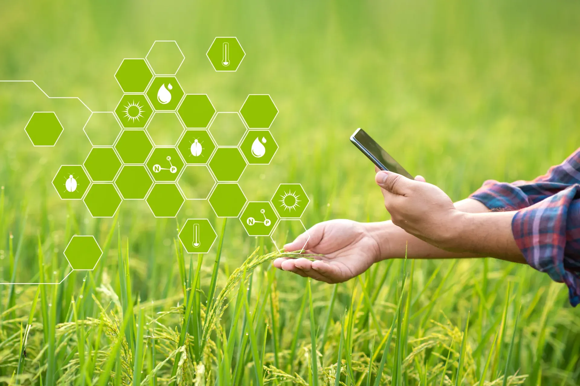 Fertiliser Application Log Audit Form