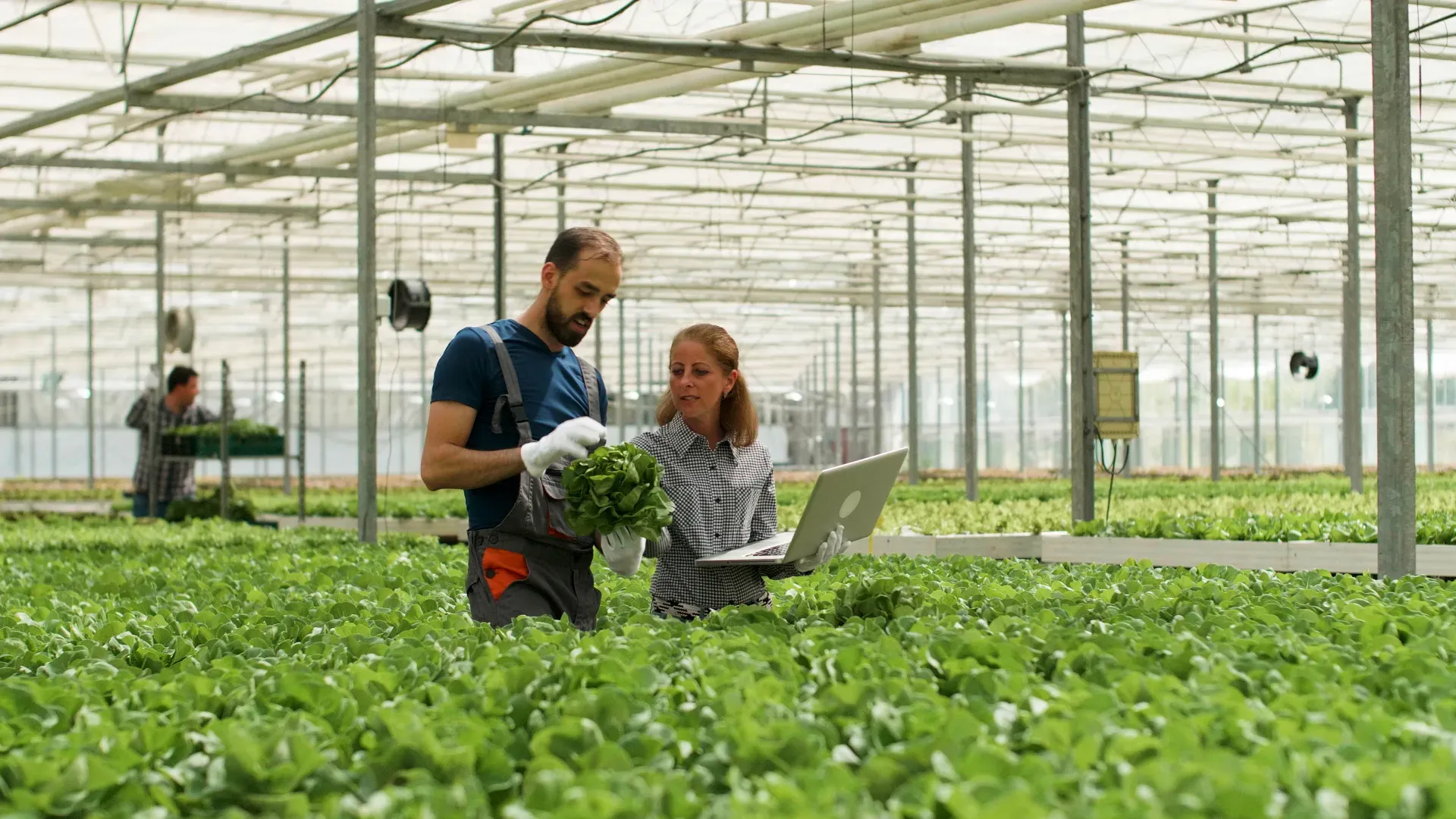 Agriculture and Agritech Audit App preview