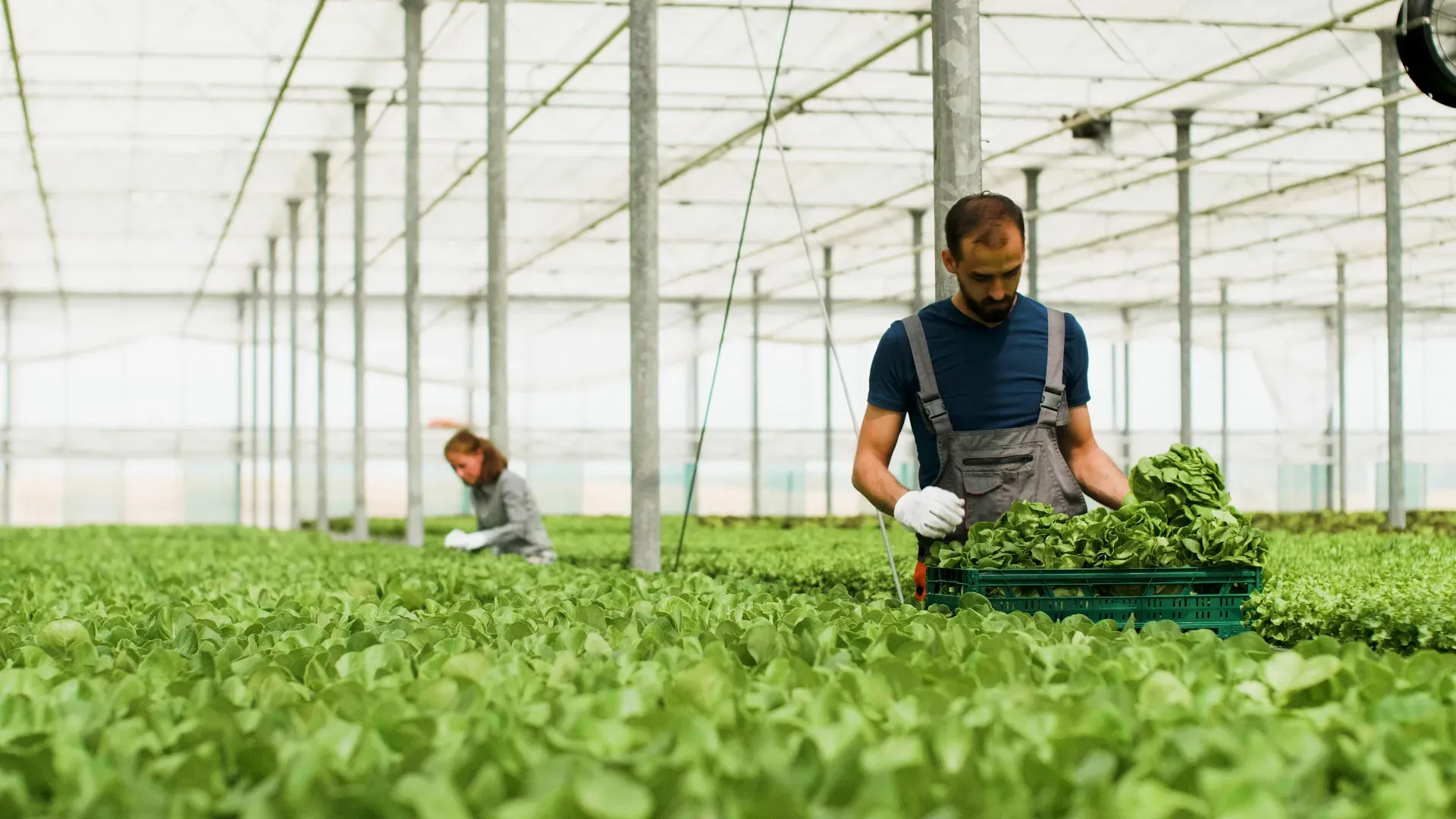 Agriculture and Agritech Permit to Work App mobile inspection app showing offline forms and photo evidence
