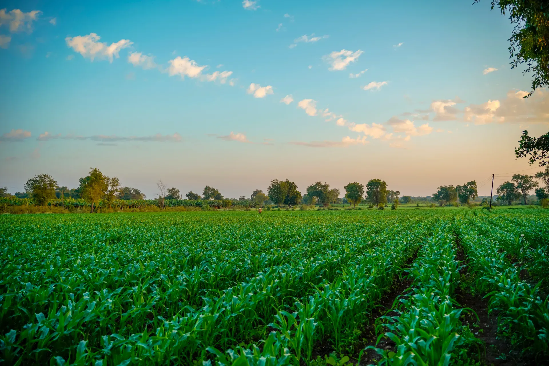 Drip Irrigation Controller Audit App mobile inspection app showing offline forms and photo evidence