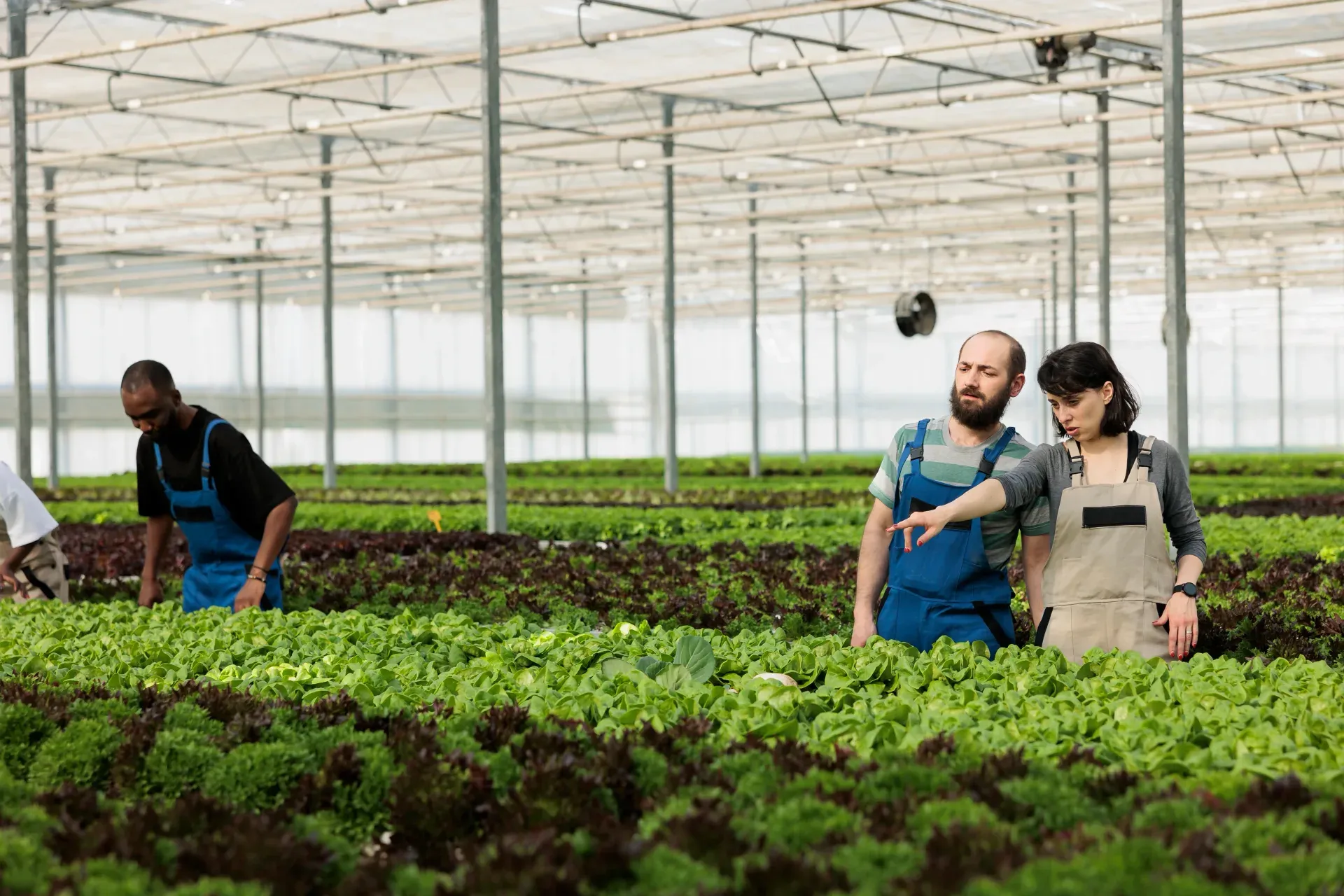 Fertiliser Application Log Inspection Form