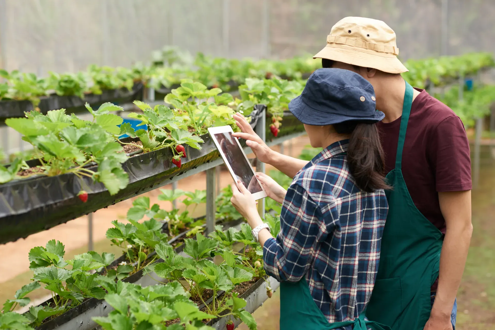 Agriculture and Agritech Corrective Action App preview