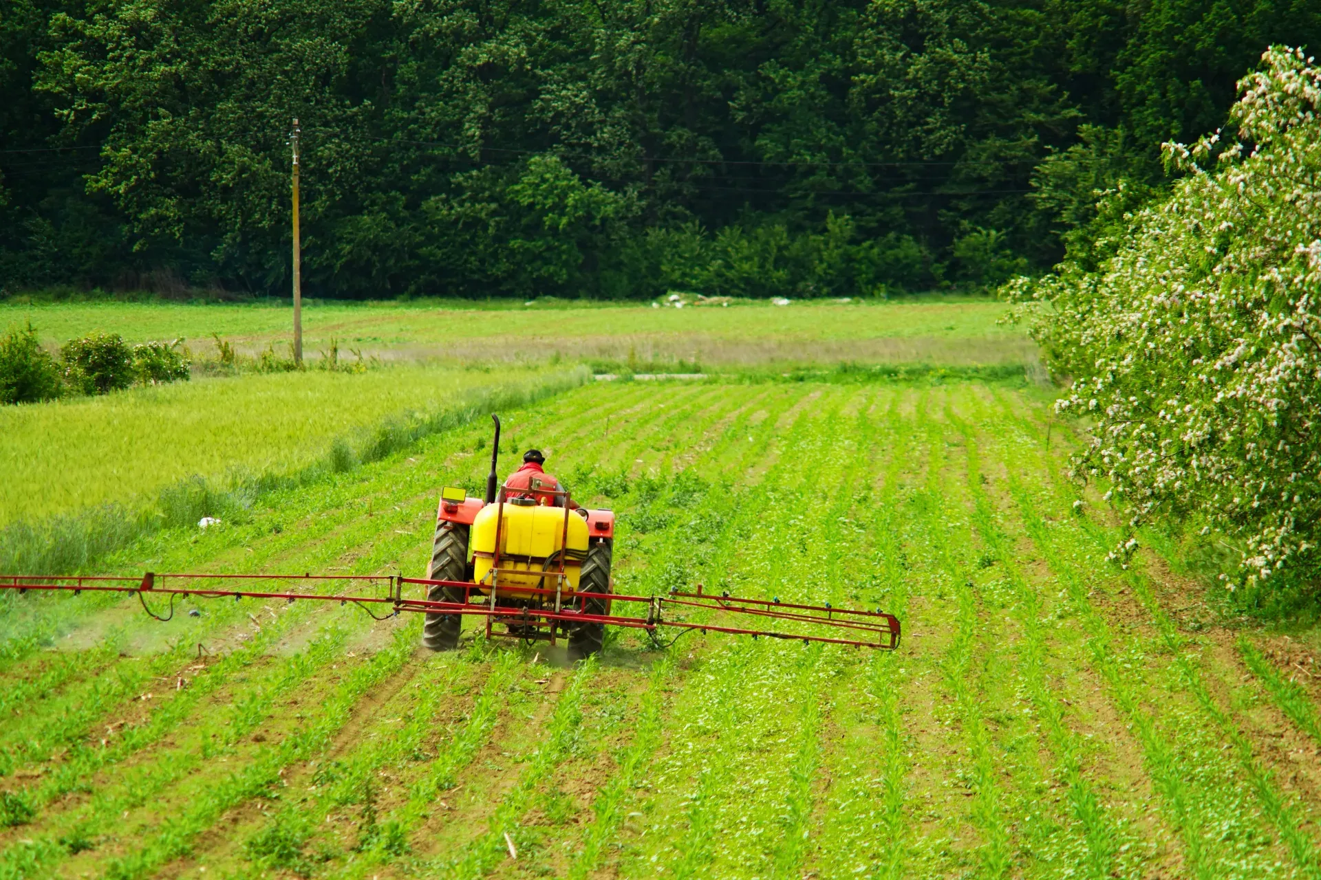 Livestock Health Inspection Checklist