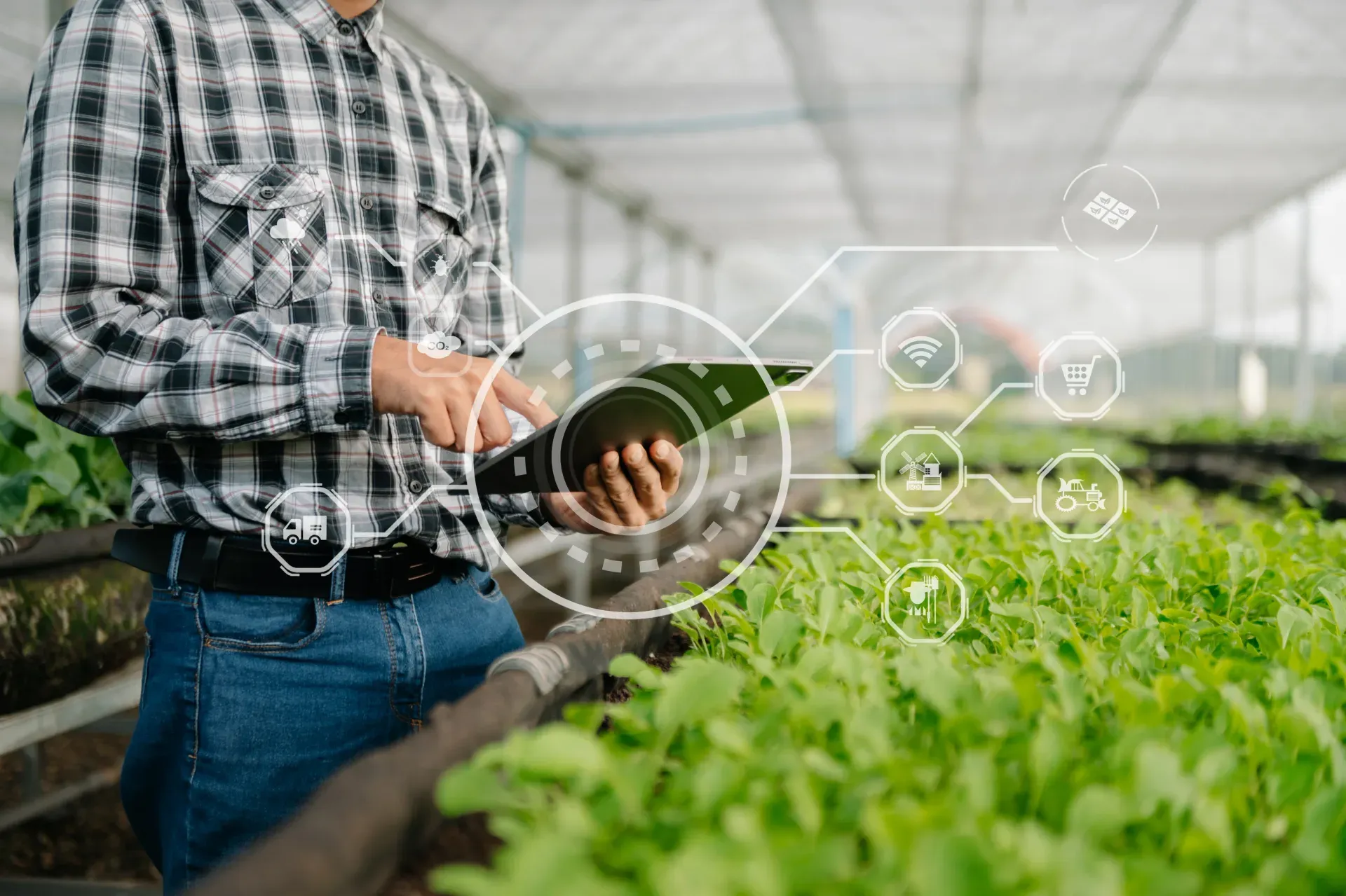 Farmer using an agritech app on a tablet in the field