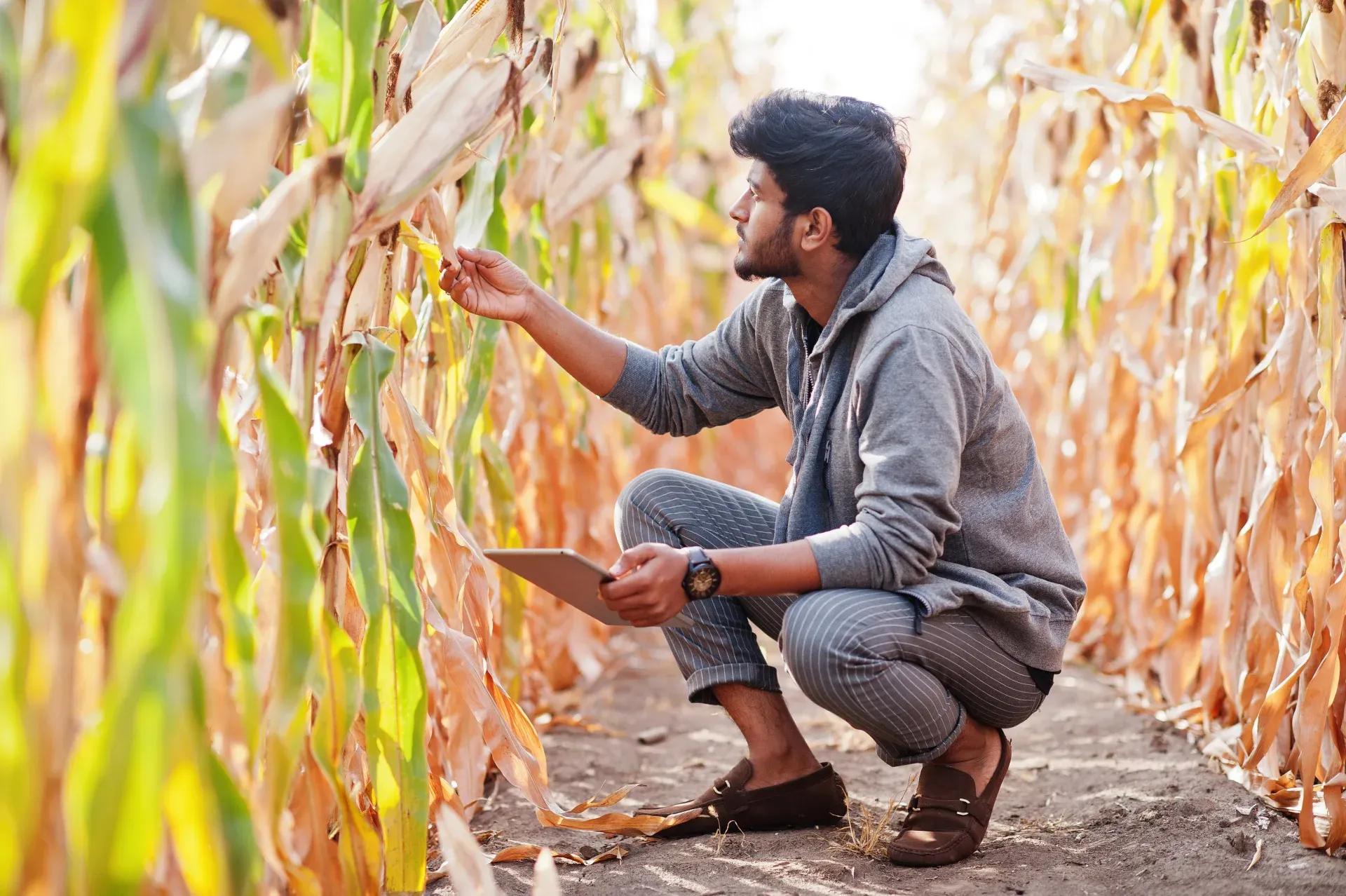 Agriculture and Agritech Asset Management App preview