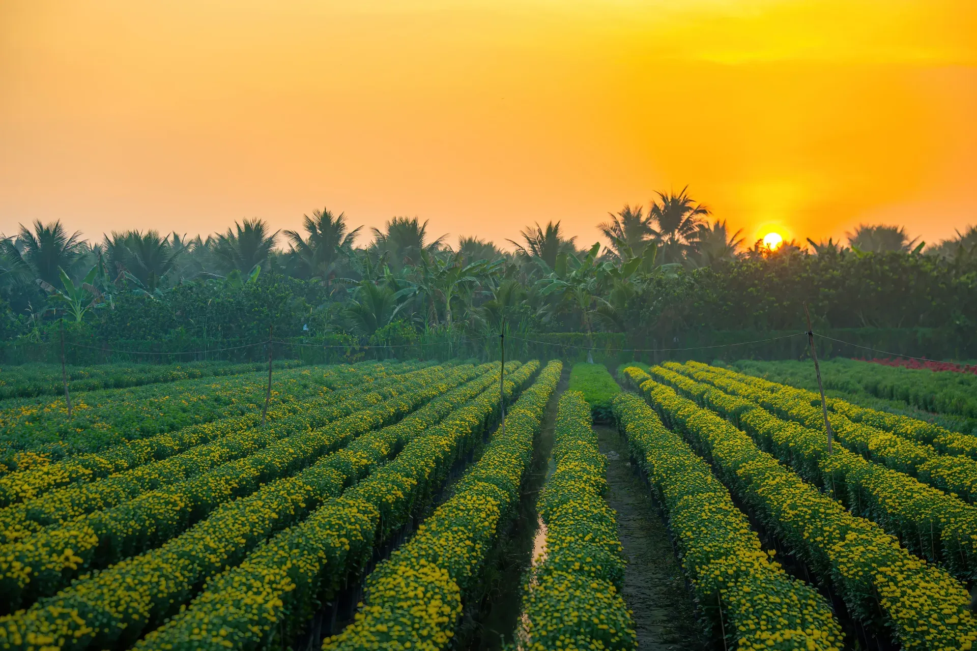 Agriculture and Agritech Compliance App preview